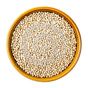 Unhulled Sorghum grains in round bowl cutout photo