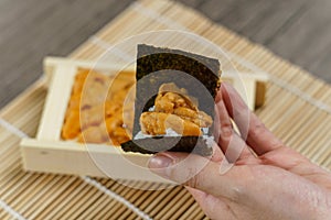 Uni Japanese sea urchin with rice and seaweed in hand