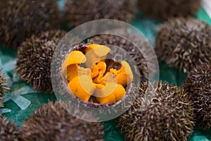 Uni Urchin Sashimi fresh seafood