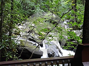 Unicoi State Park Trail Smith Creek