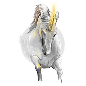 Unicorn digital art illustration isolated on white background. Legendary ancient mythological crature, fairy-tale