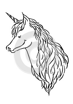 Unicorn hand drawing sketck doodle fantasy illustration design vector photo