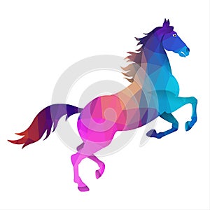 Unicorn horse isolated on white background. Vector illustration in cartoon style.