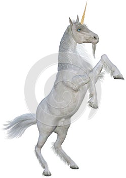 Unicorn Horse Rearing Up Isolated