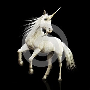 Unicorn majestic mythical horned horse on a black background.