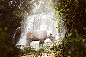 Unicorn is near a waterfall