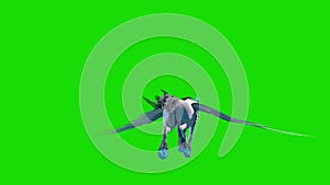 Unicorn Pegasus Winged Horse Flies Back Green Screen 3D Rendering Animation