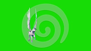 Unicorn pegasus winged horse flies front green screen 3D rendering animation