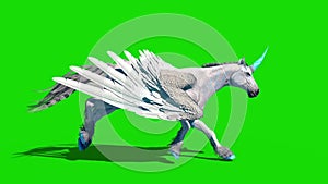 Unicorn pegasus winged horse run cycle green screen 3D rendering animation