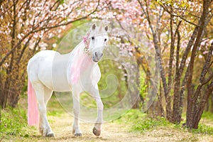 Unicorn. photo of a snow-white unicorn with a pink and white mane and tail in a spring flowering garden