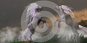 Unicorn Stallions Fighting