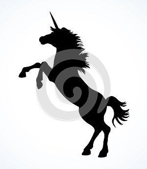 Unicorn. Vector drawing