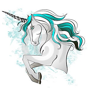 Unicorn vector illustration. Magic horse isolated on white background