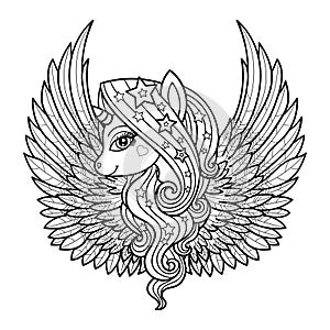 Unicorn with wings. Black and white. Doodle style. Vector illustration.