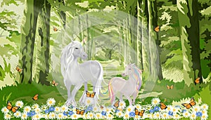 Unicorns standing in beautiful of nature with sun light shining in morning,Vector Fantasy fairy cartoon couple horses walking in