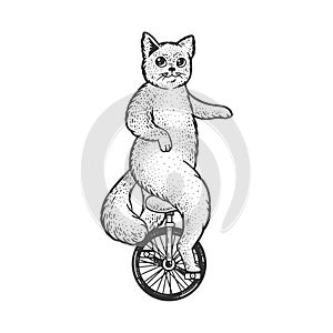 unicycle cat sketch vector illustration