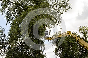 Unidentified arborist man in the air on yellow elevator, basket with controls, cutting off dead cherry tree