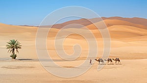 Unidentified Berber men leading a camel caravan