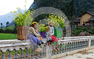 Unidentified ethnic minority kids with baskets of rapeseed flower in Hagiang, Vietnam