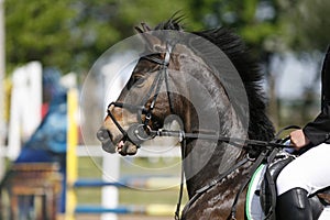 Unidentified jumping rider on horseback overcomes barriers