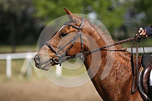 Unidentified jumping rider on horseback overcomes barriers