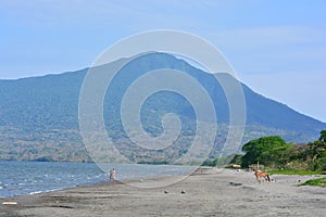 Unidentified people and a horse at the Santo Domingo beach, in Ometepe Island, Nicaragua photo