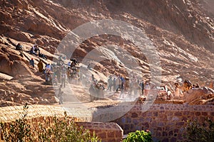 Unidentified people are waiting for excursion near St. Catherine Monastery, Sinai, Egypt