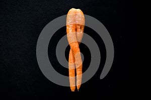 Unikat and Curiosity, Carrot in a special form