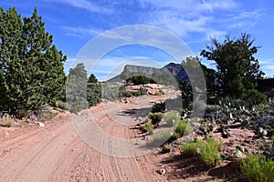 The unimproved road to Toroweap in the Grand Canyon.