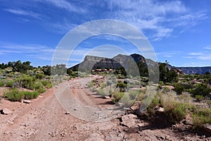 The unimproved road to Toroweap in the Grand Canyon.