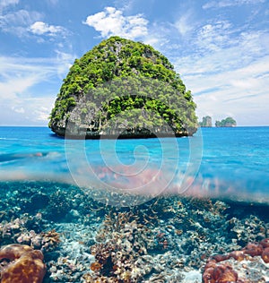 Uninhabited island with coral reef underwater view