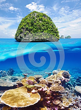 Uninhabited island with coral reef underwater view
