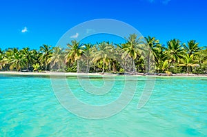 Uninhabited tropical island. Ocean coastline with tropical beach and palm trees near the water.