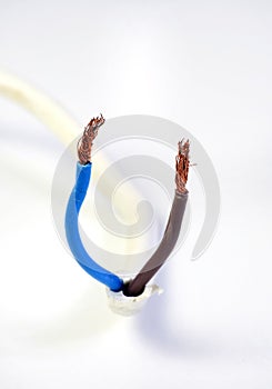 Uninsulated wires