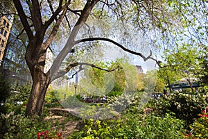 Union Square Park NYC