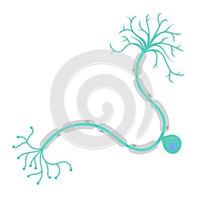 Neurón bunka 