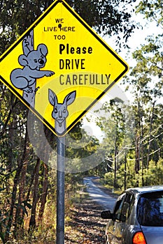 Unique Australian wildlife road sign of koala