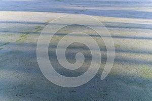 Unique background with magic sunrays, sunshine, light on the green grass, meadow, field