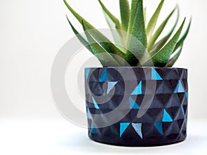 Unique black geometric planters. Painted concrete planters for home decoration