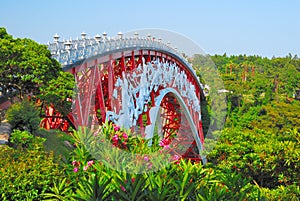 Unique bridge surrounded with nature