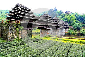 The unique buildings of the nationality in Sanjiang, Guangxi Province photo