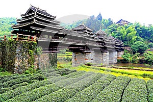 The unique buildings of the nationality in Sanjiang, Guangxi Province