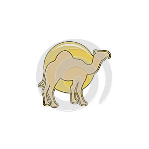 Unique Camel Logo Icon Template