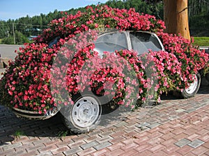 Unique Car Flower Planter - Tourist attraction