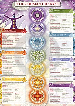 Powerful 7 Chakra - Infographic poster/wallpaper including detailed description, characteristics and features