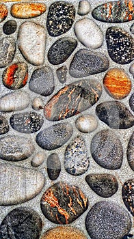 a unique collection of aesthetically charming coral stones for the background photo