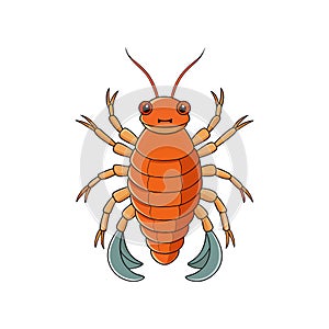 Unique Cryptolithodes Crustacean Realistic Illustration