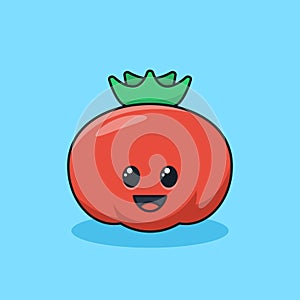 Unique cute red tomato fruit flat design icon graphic vector