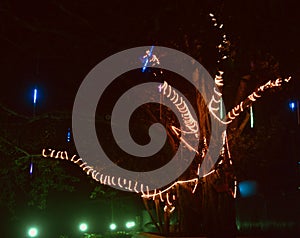 Unique decoration lights tied with trees stock photo