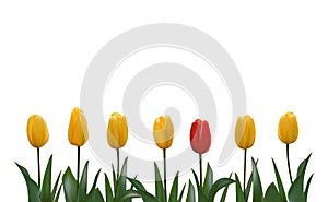 Unique different flower stands out, many yellow, one red. Vector realistic illustration. Special one another colour. Not like